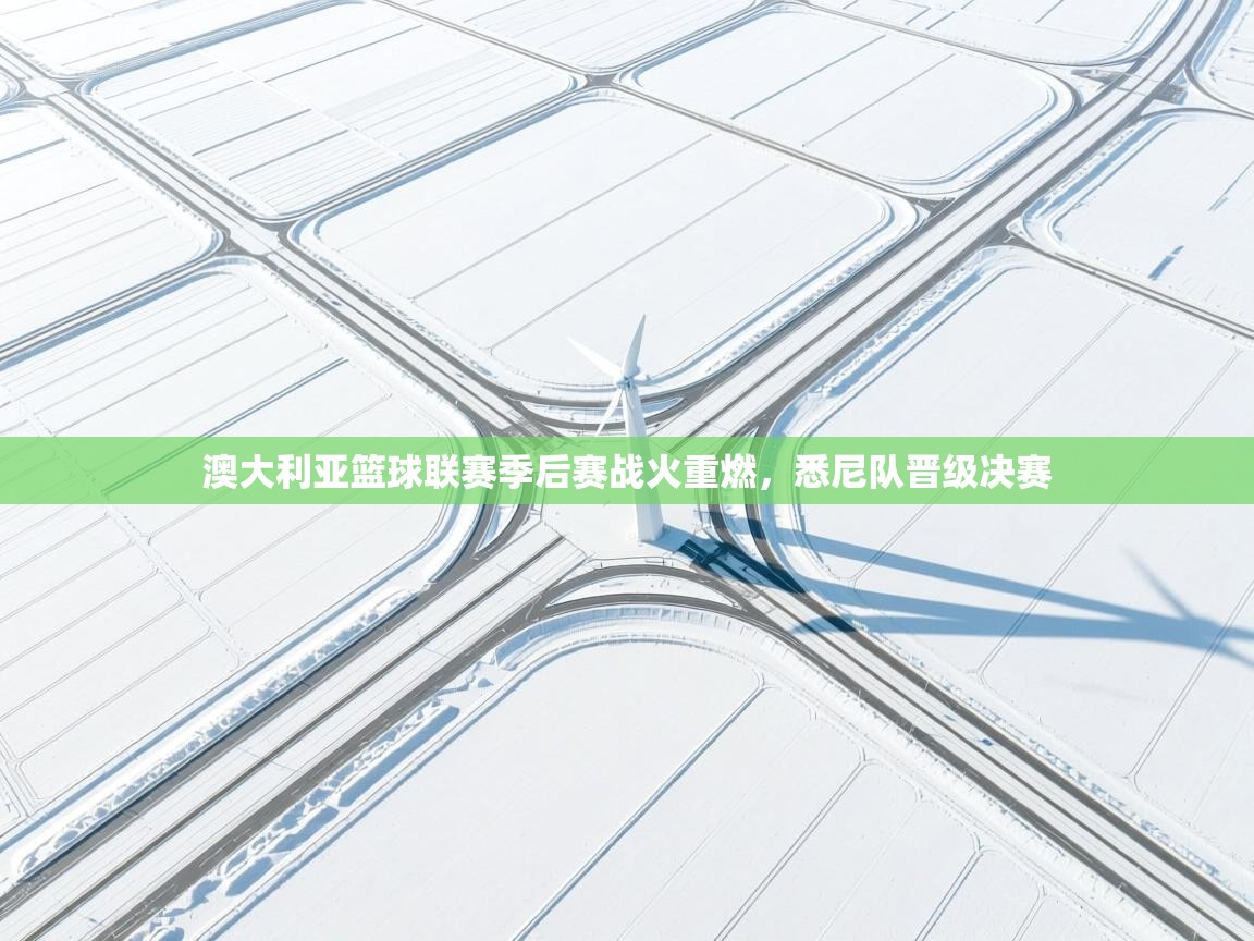 开云体育app登录入口-澳大利亚篮球联赛季后赛战火重燃，悉尼队晋级决赛  第3张