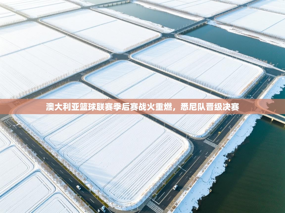 开云体育app登录入口-澳大利亚篮球联赛季后赛战火重燃，悉尼队晋级决赛  第4张