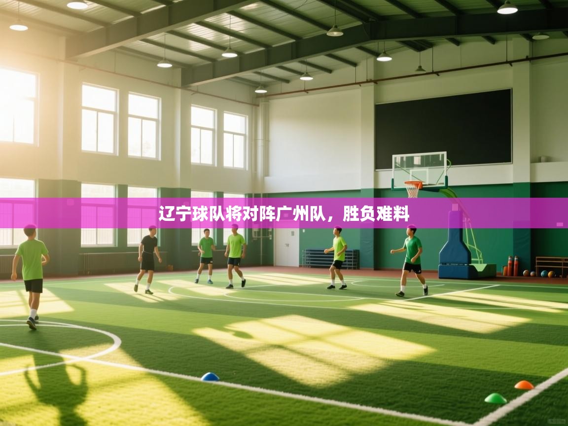 开云客服-辽宁球队将对阵广州队,胜负难料 第3张