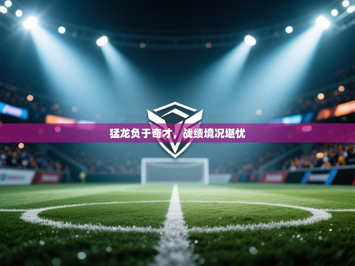 开云体育app登录入口-猛龙负于奇才，战绩境况堪忧  第2张