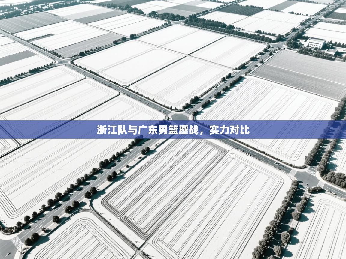 开云下载-浙江队与广东男篮鏖战，实力对比  第2张